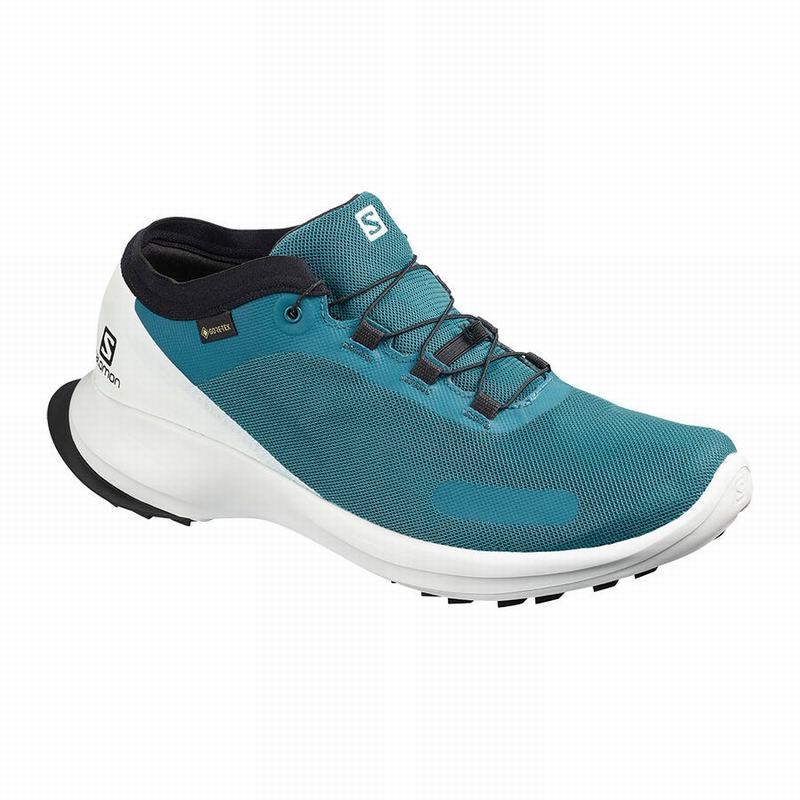 SALOMON SENSE FEEL GTX Philippines - Men's Trail Running Shoes - Blue | 532098-BUY